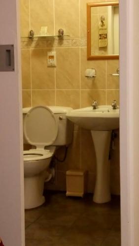 a bathroom with a toilet and a sink at Royal Hotel Ladysmith in Ladysmith