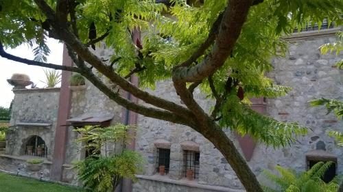 Jardín al aire libre en Bed and Breakfast Posserle