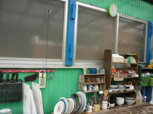 屋久島にあるとまり木の緑の壁