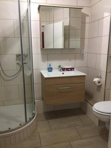 a bathroom with a shower and a sink and a toilet at Ferienwohnung "Zur Ottoburg" in Schlitz in Schlitz
