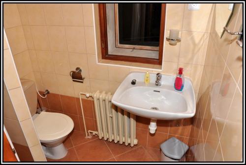 a bathroom with a sink and a toilet at Ubytování Petrovičky in Mladkov