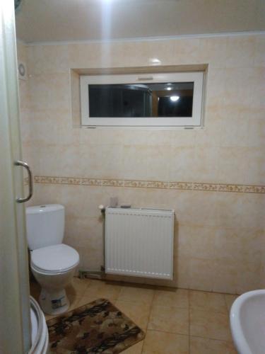 a bathroom with a white toilet and a window at Kosmatska pusanka in Kozmacz