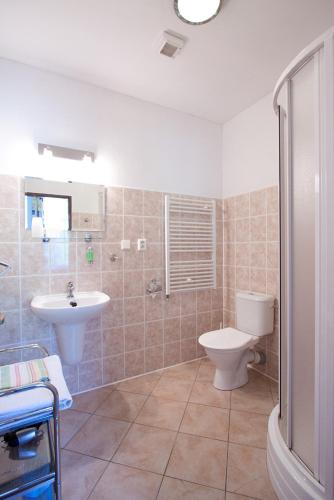 a bathroom with a toilet and a sink at Rodinný Penzion u Wolfů in Chrastava