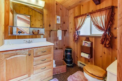 a bathroom with a sink and a toilet in a room at The Chalet on Lopez in Islandale