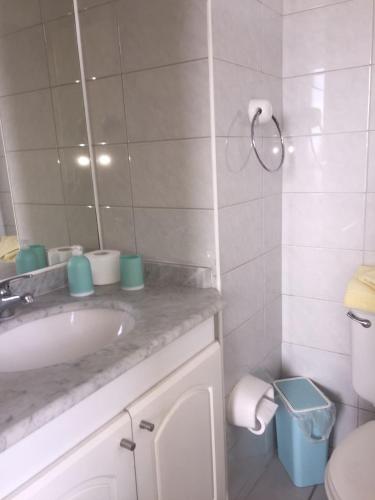 ein Badezimmer mit Waschbecken, Toilette und Spiegel in der Unterkunft Studio Cochrane in Santiago