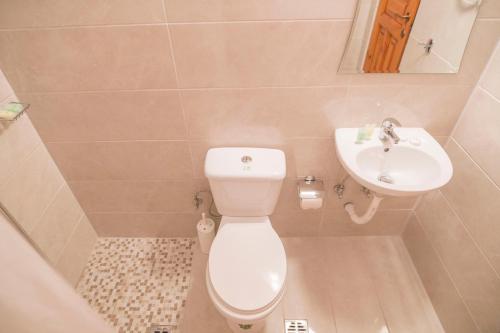 a bathroom with a toilet and a sink at Corfu Aqua Nisaki in Nisakion