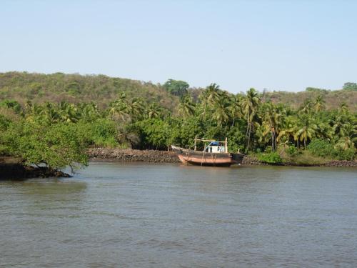 a boat sitting in the water next to a group of palm trees at Barve Homes in Ratnagiri