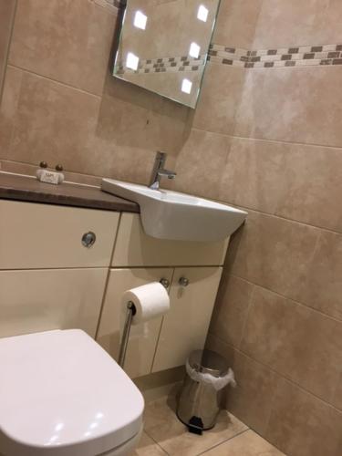 Bilik mandi di Llys yr Onnen