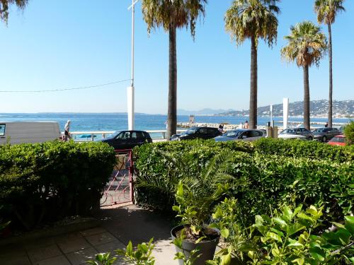a view of the beach and palm trees at Juan Plage in Juan-les-Pins