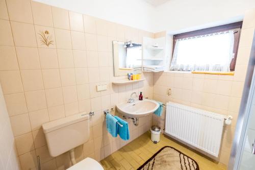 a small bathroom with a sink and a toilet at Haus Fernblick in Bad Grund