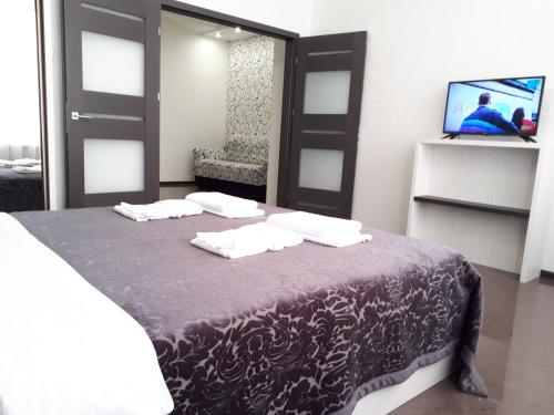 a bedroom with a bed with a mirror and a tv at IRIS apartments in Odesa