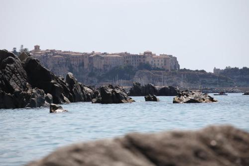 a dog swimming in the water near some rocks at Residence Porto Ulisse in Parghelia