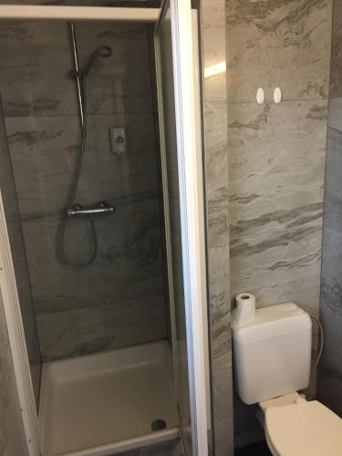 a bathroom with a shower and a toilet and a tub at Vakantielogies Faja lobi in Ghent