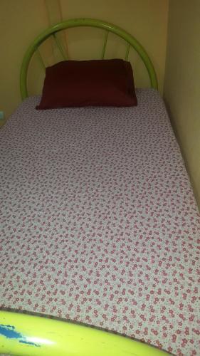 a bed with a green headboard with a red pillow at Hotel Latino in San José
