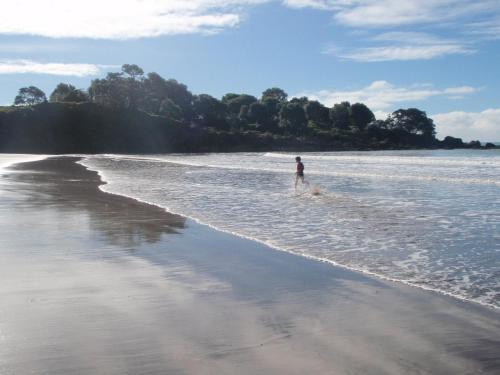 a person standing in the water on a beach at Nga Puriri Bed and Breakfast in Hicks Bay