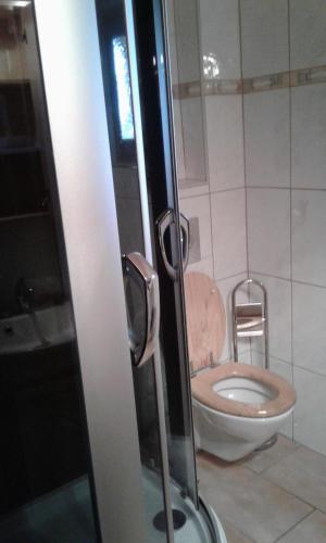 a bathroom with a toilet in a room at Leitenschneider Hütte in Waggendorf
