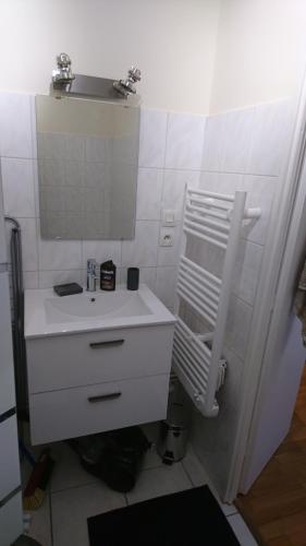 ein weißes Badezimmer mit einem Waschbecken und einem Spiegel in der Unterkunft Le Jim : Rue Musette in Dijon