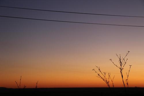 Billede fra billedgalleriet på Casa Dos Livres i Vaiamonte