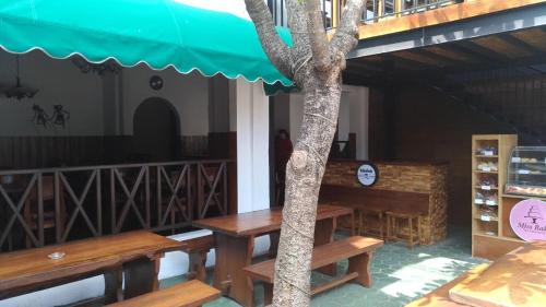 a tree in the middle of a restaurant with benches at Bladok Hotel & Restaurant in Yogyakarta