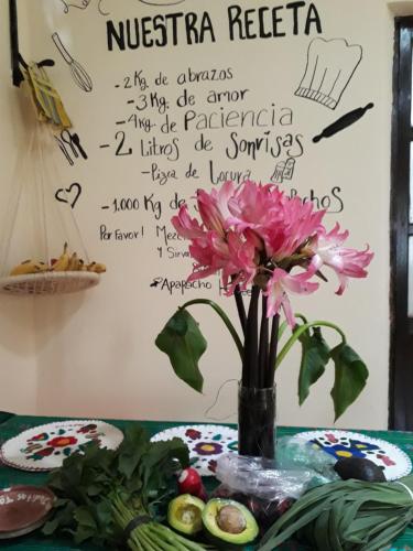 a vase with a pink flower on a table at Casa Apapacho hostel in San Cristóbal de Las Casas