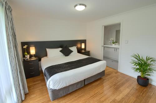 a bedroom with a large bed with a black headboard at Pelicans Albany Middleton Beach in Albany