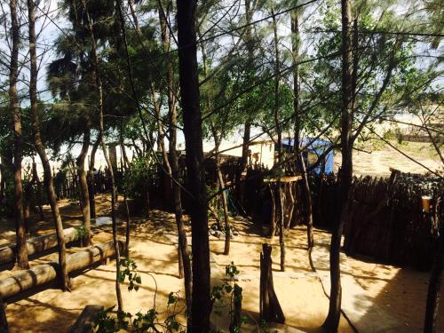 a forest of trees with a beach in the background at Beach Hut in Arugam Bay