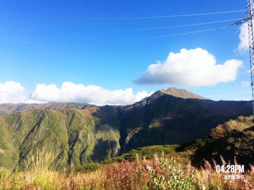 ゲストハウスから撮影された、または一般的な山の景色