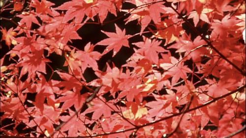 Fotografie z fotogalerie ubytování Dormy Inn Kurashiki Natural Hot Spring v destinaci Kurašiki