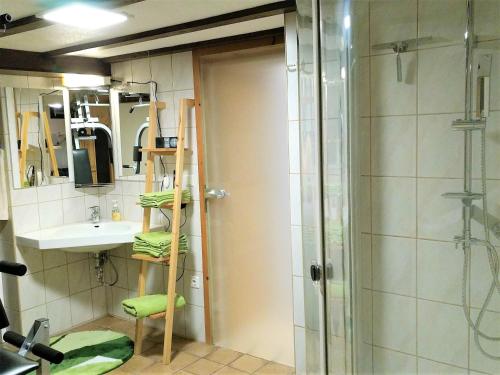a bathroom with a shower and a sink and a glass shower door at Apartment Gabriele in Sinsheim