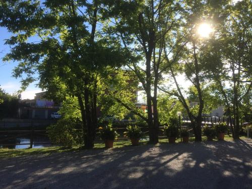 a park with trees and potted plants in the sun at Locanda Stella D'oro in Quinto di Treviso