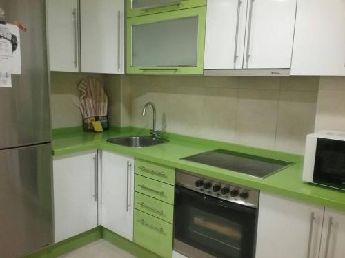 una cocina verde con armarios blancos y fregadero en Piso Estación Tren Ourense, en Ourense