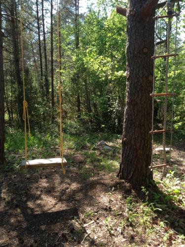 a swing in the woods next to a tree at Kibuvitsa Holiday House in Muratsi