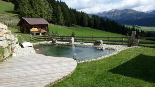 a small pond in a field with a wooden deck at Urlaub am Raderhof in der Ferienregion Lungau in Mauterndorf