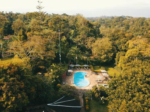 an overhead view of a swimming pool in a forest at Aishi Machame in Moshi
