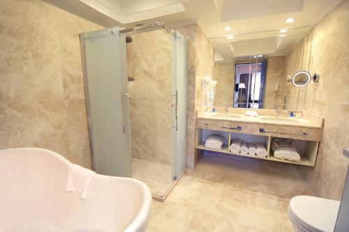 a bathroom with a shower and a sink at Akgun Istanbul Hotel in Istanbul