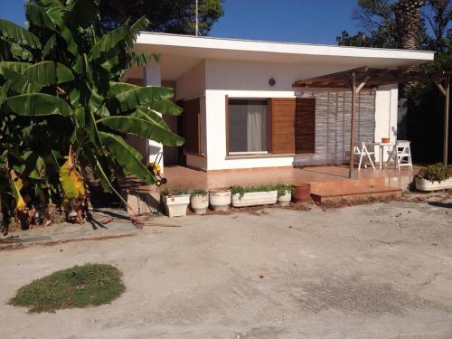 a small house with a lot of plants in front of it at Τhe banana tree beach house in Marathón