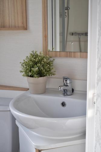a bathroom sink with a potted plant on it at Valfjället Ski center in Gryttved