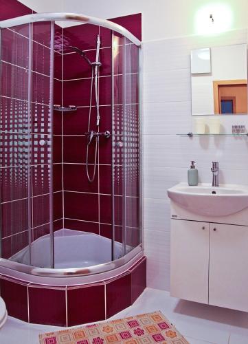 a bathroom with a shower and a sink at Pension U pálenice in Hrabětice