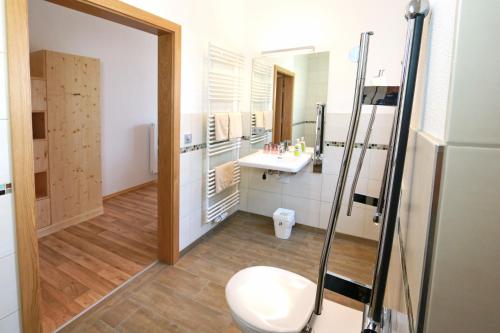 Spörerau森普特酒店的一间带卫生间、水槽和镜子的浴室