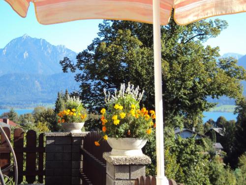 two vases of flowers on a table with a view at Haus Bergland in St. Wolfgang