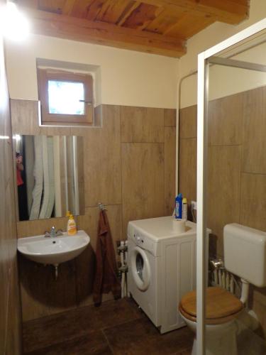 a bathroom with a sink and a toilet and a mirror at Sóstó Gold Vendégház in Nyíregyháza