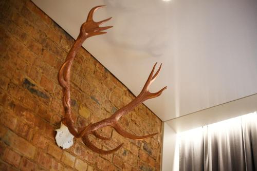 a large stag head on a brick wall at Old Town Trio Apartments in Vilnius
