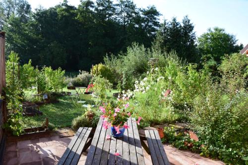a garden with a wooden bench with flowers and plants at Chambres d'hôtes "La Bouill'hôte" in Langensoultzbach