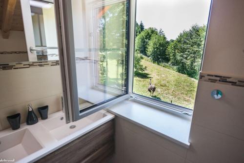 a bathroom with a window with a view of a bird at Straußenhof Halmer in Oberndorf an der Melk