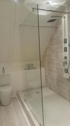 a bathroom with a shower and a toilet at De Kloof Heritage Estate and Wellness in Swellendam