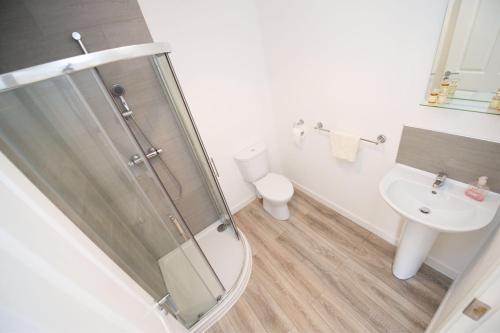 a bathroom with a shower and a toilet and a sink at Grangegeeth Inn in Slane