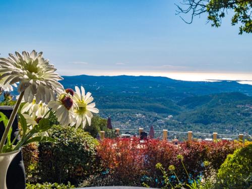 a view of a city from a garden with flowers at Domaine du Bois d'Amont in Cabris