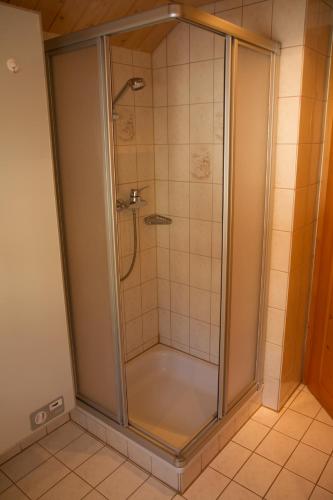 a shower with a glass door in a bathroom at Haus Danna in Sankt Gallenkirch