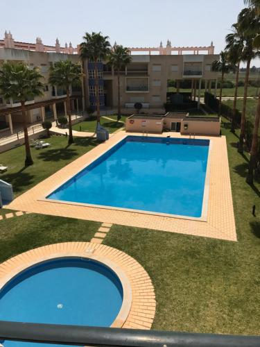 Palm Garden