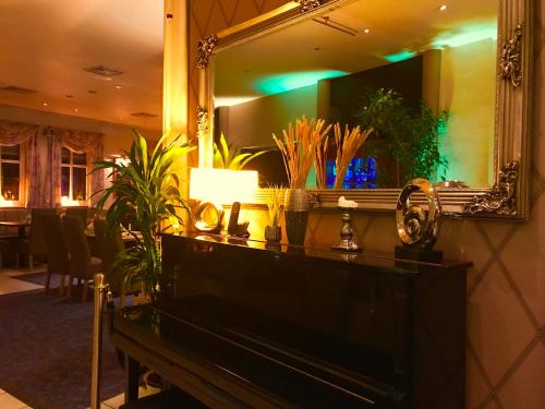 a mirror above a piano with a lamp and plants at Querfurter Hof in Querfurt